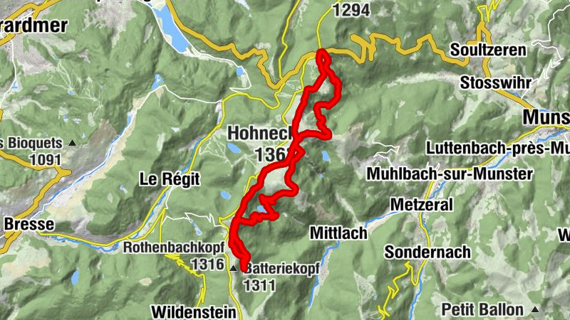 Carte