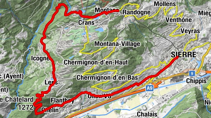 Carte
