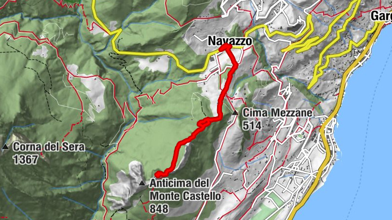 Carte