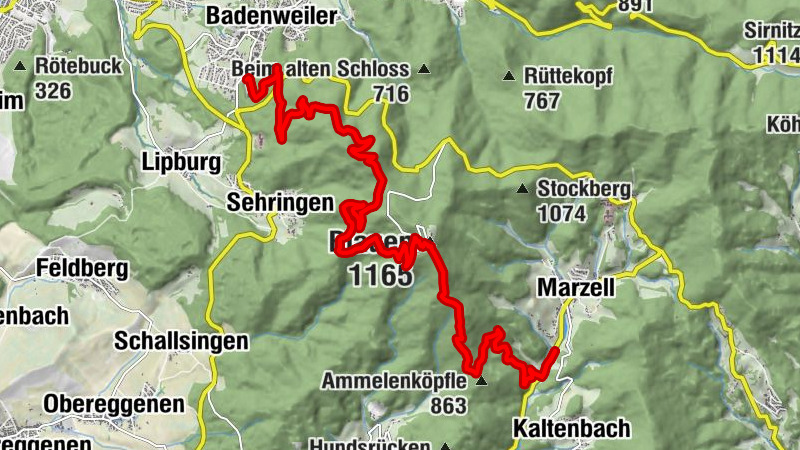 Carte