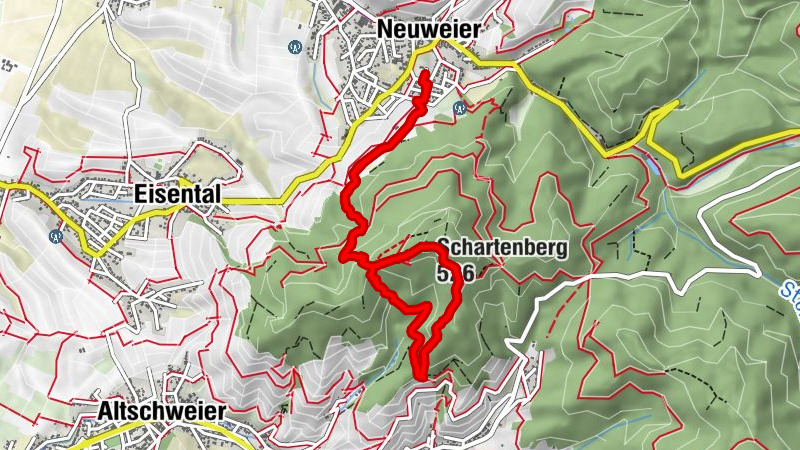 Carte
