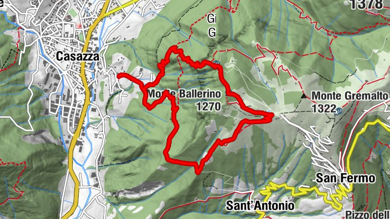 Carte