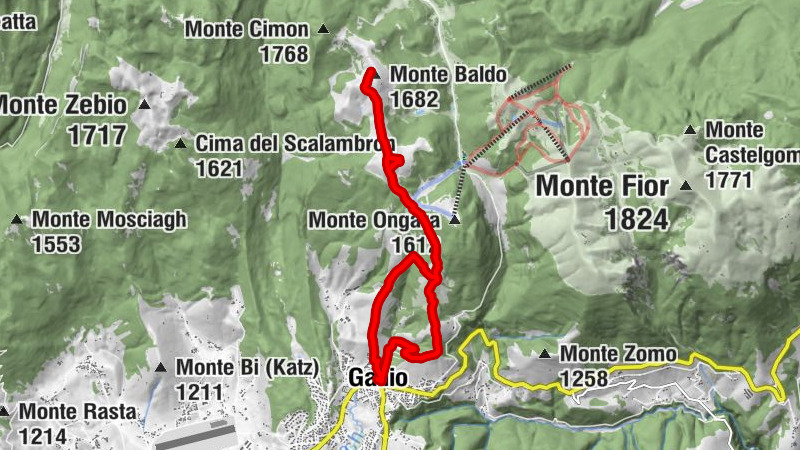 Carte