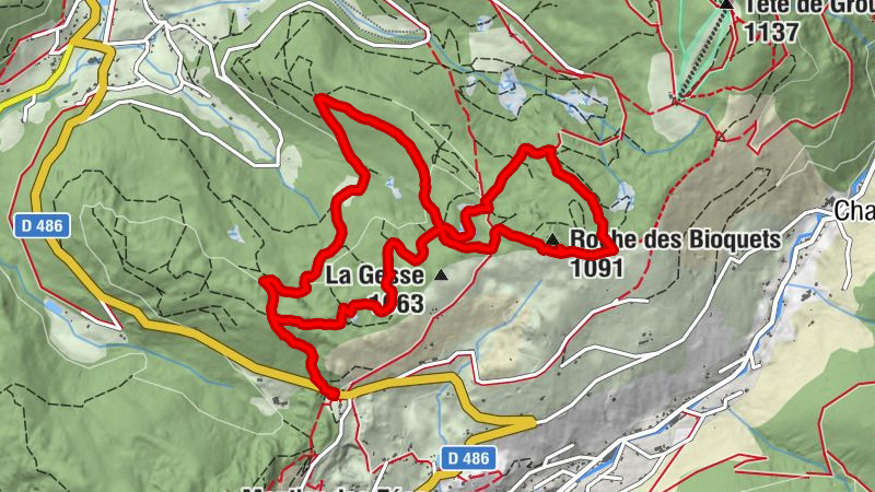 Carte