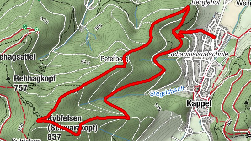 Carte