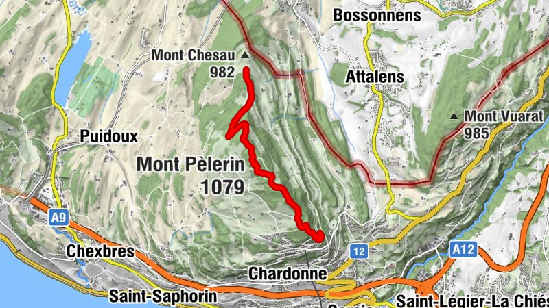 Carte