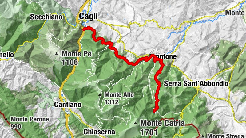 Carte