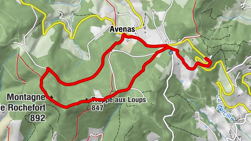 Carte