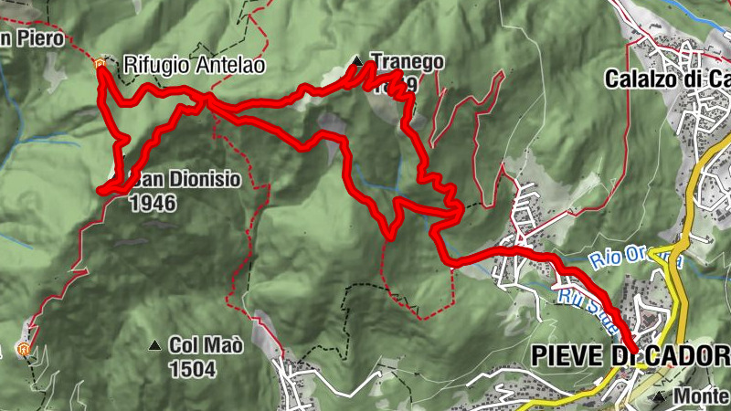 Carte