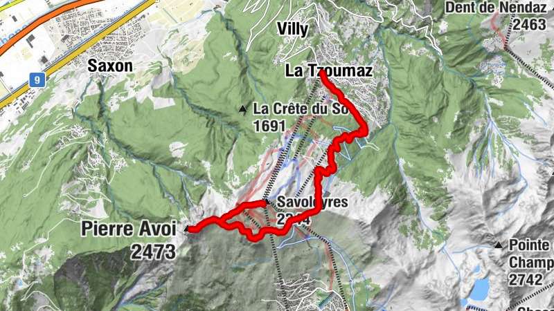 Carte