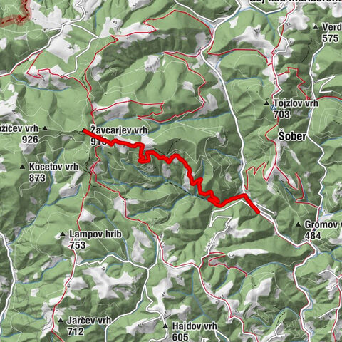Maribor - Koča na Žavcarjevem vrhu - Žavcarjev vrh