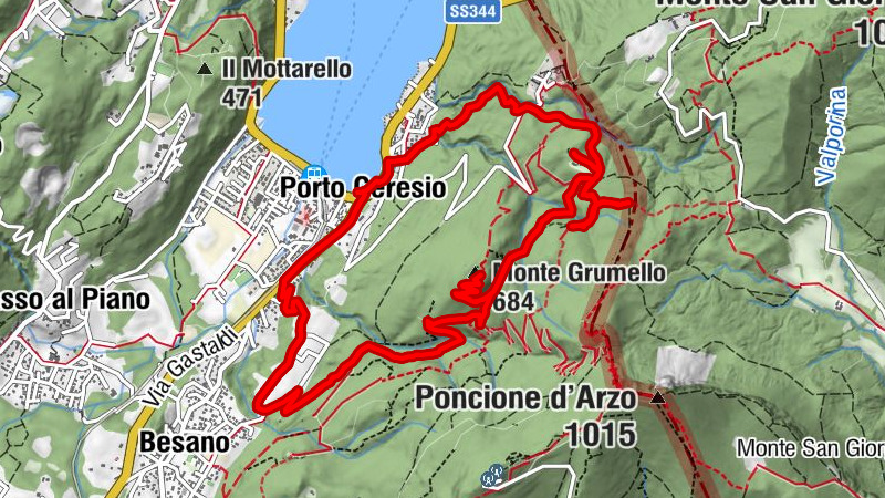 Carte