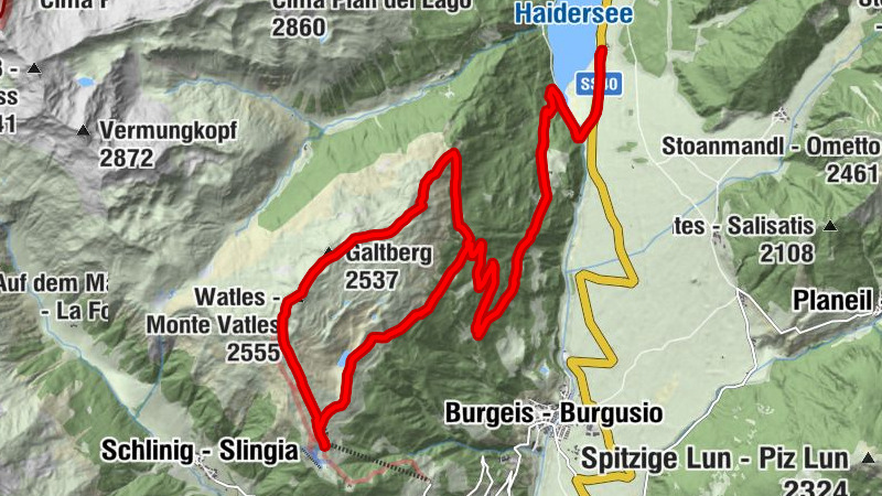 Carte
