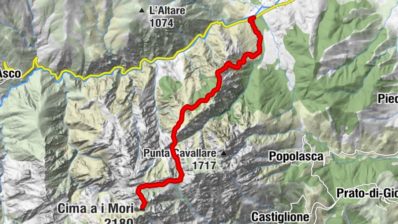 Carte