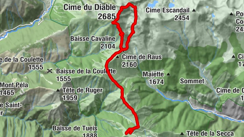 Carte