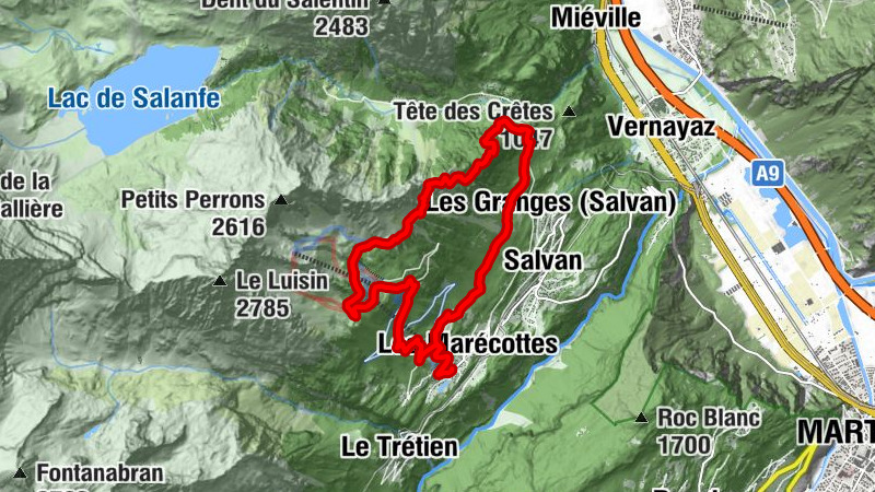 Carte