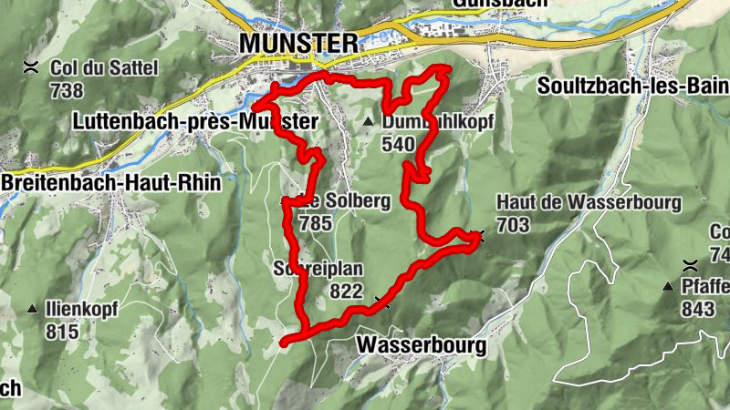 Carte