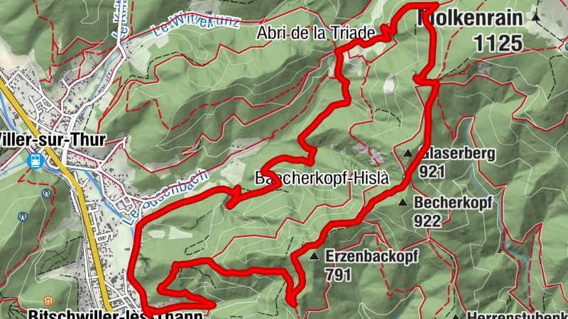 Carte
