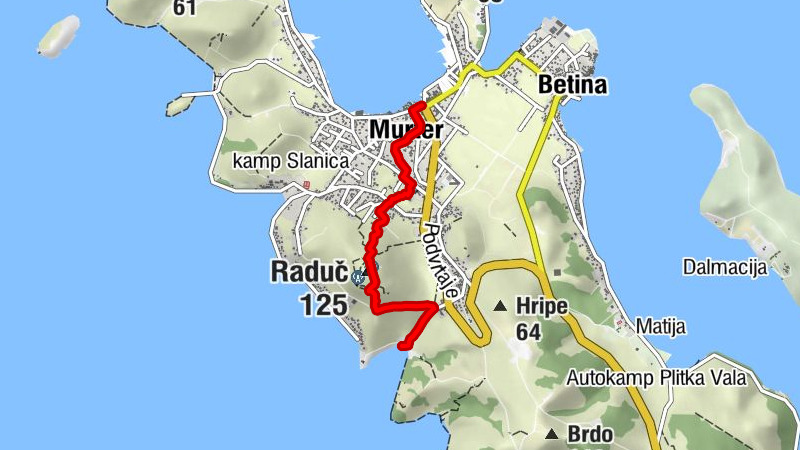 Carte