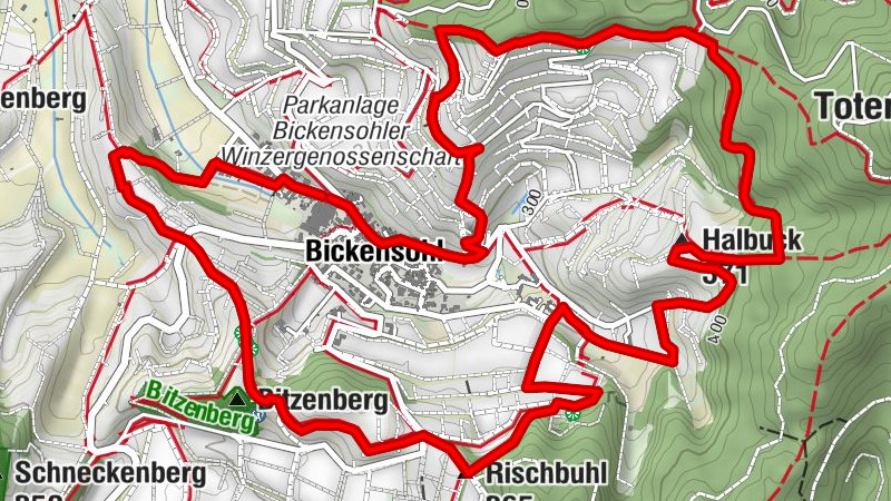 Carte