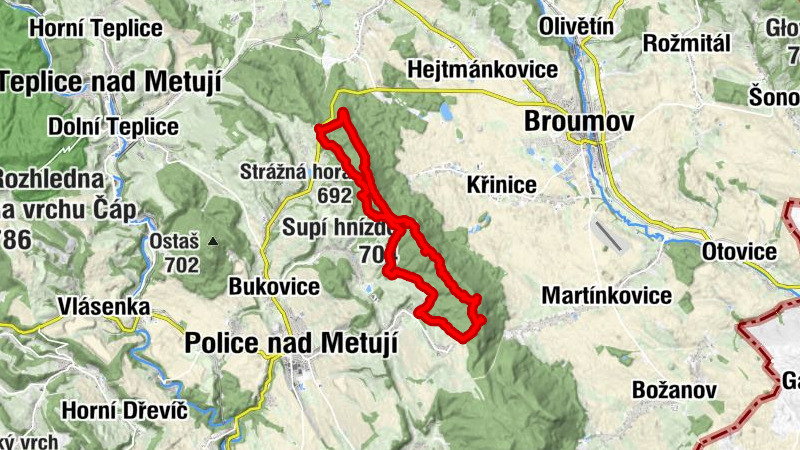 Carte
