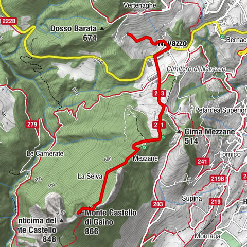 Carte