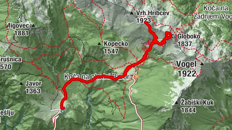 Carte