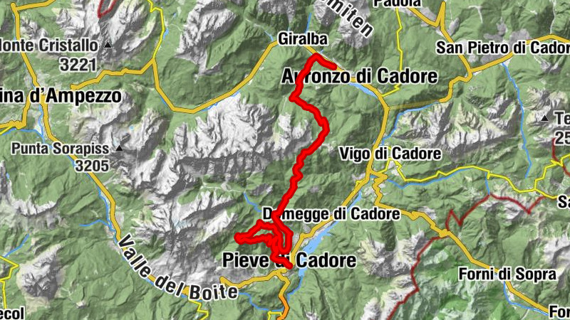Carte