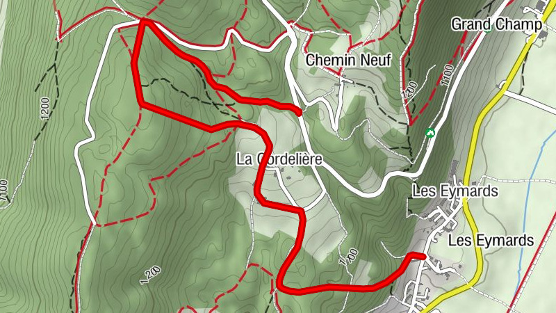 Carte