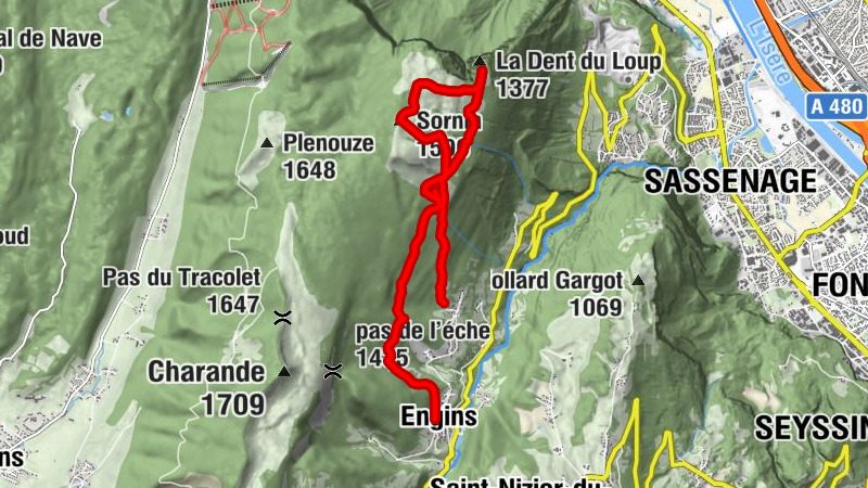 Carte