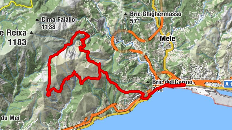 Carte