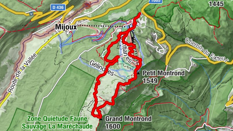 Carte