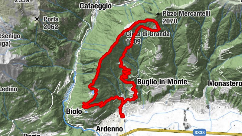 Carte