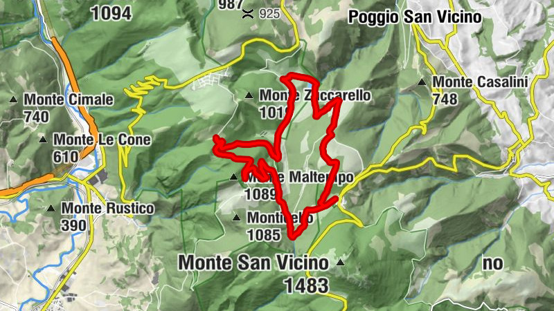 Carte