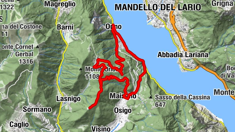 Carte