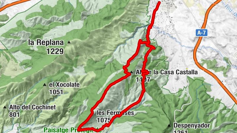 Carte