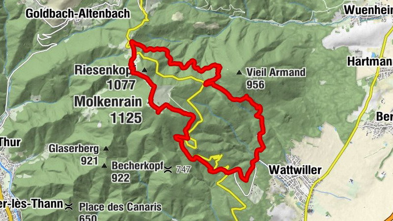 Carte