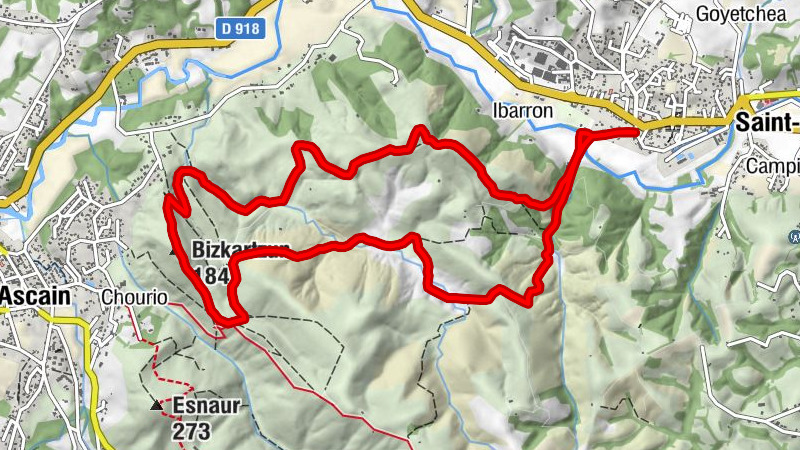 Carte