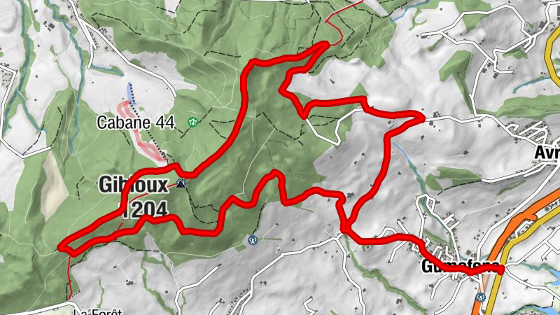Carte