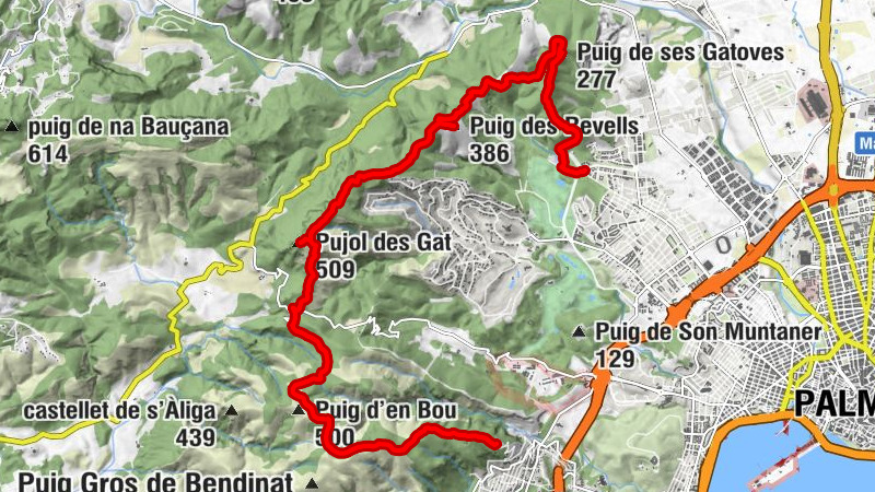 Carte