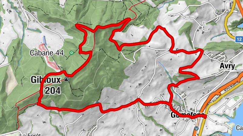 Carte