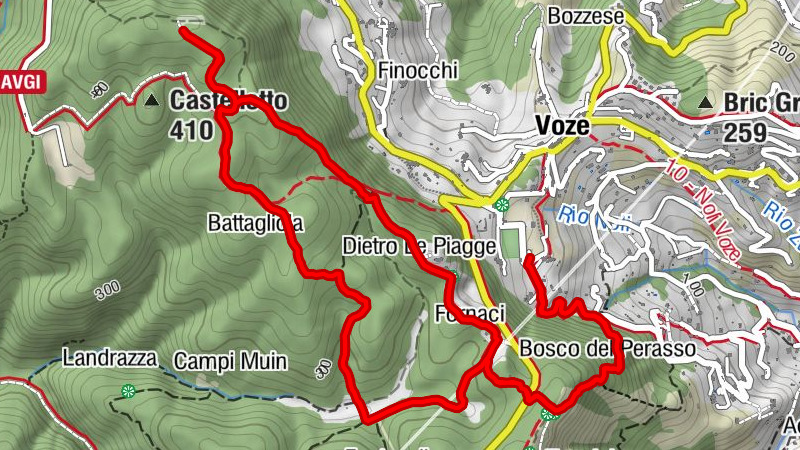 Carte