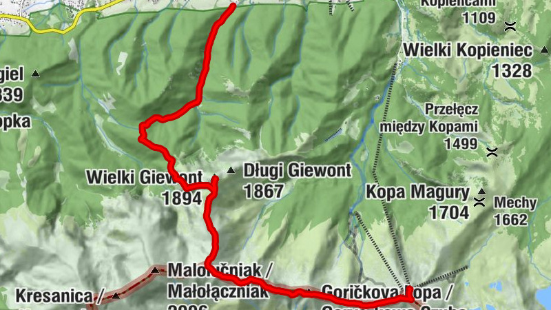 Carte