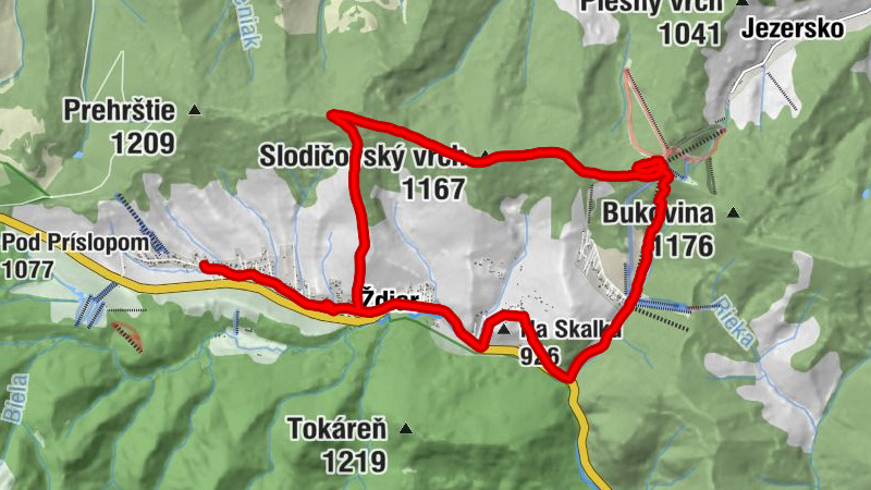 Carte