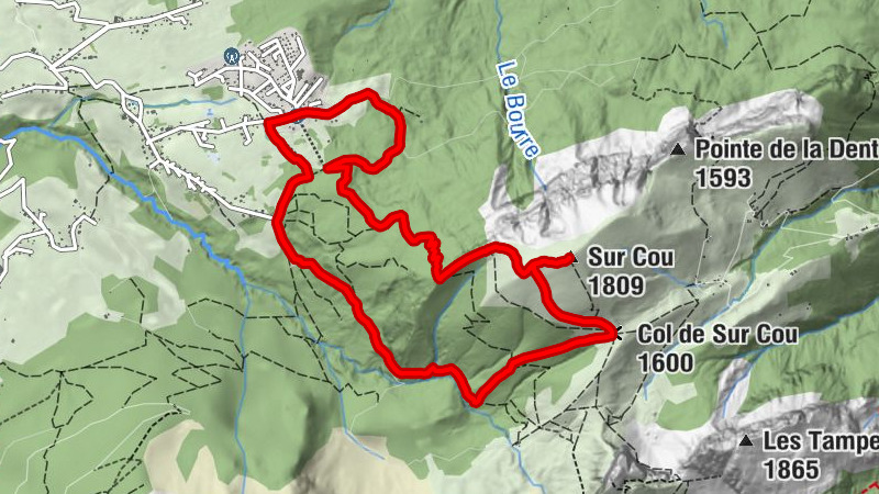 Carte