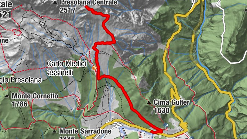 Carte