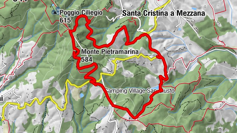 Carte