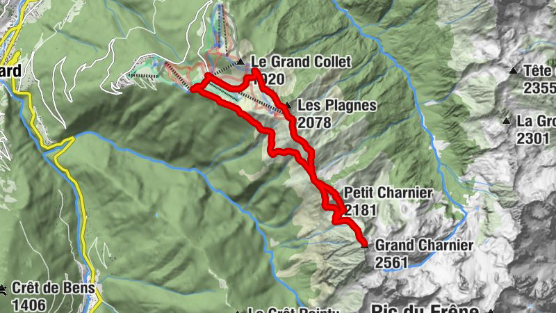 Carte