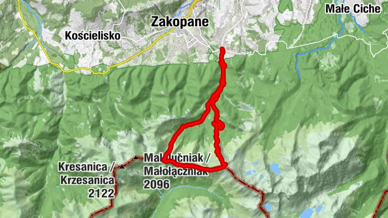 Carte