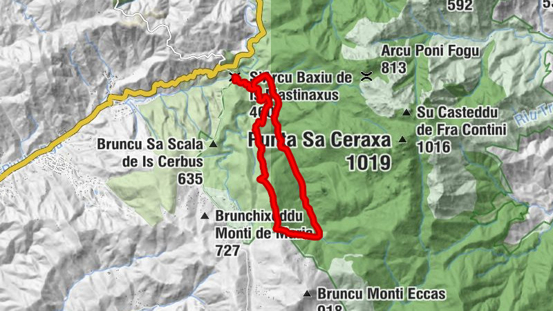 Carte